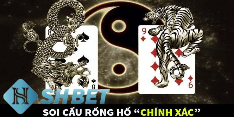 soi cầu rồng hổ soi cầu rồng hổ