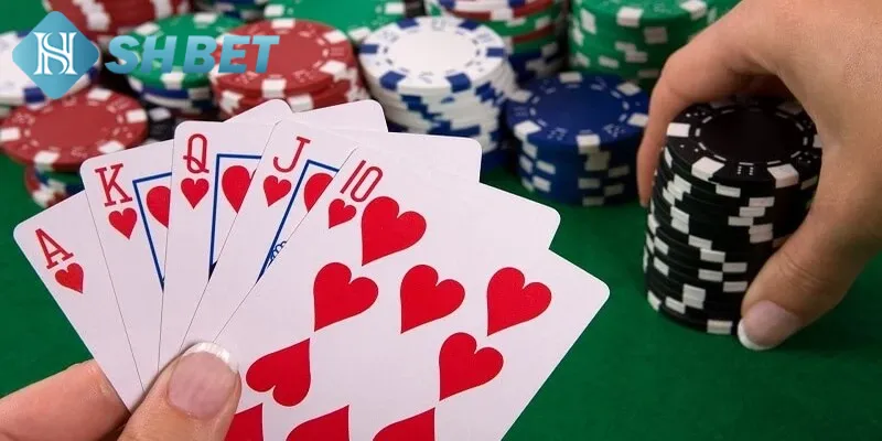 Thông tin cơ bản hội viên cần biết về bài binh xập xám