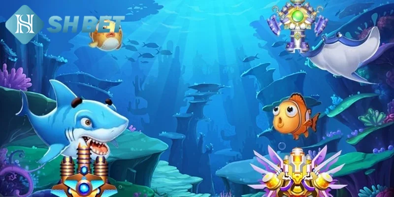 Chiến lược săn cá siêu phàm hiệu quả từ chuyên gia
