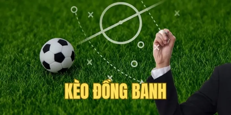 Một số thông tin tổng hợp về đồng bánh bóng đá