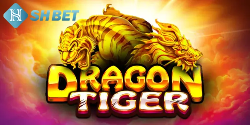 Kỹ thuật chơi rồng hổ tăng xác suất chiến thắng hiệu quả
