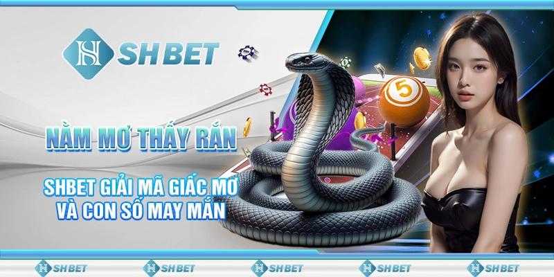 Nằm Mơ Thấy Rắn - SHBET Giải Mã Giấc Mơ Và Con Số May Mắn