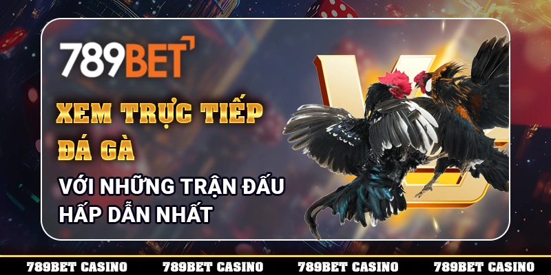 Đá gà trực tiếp