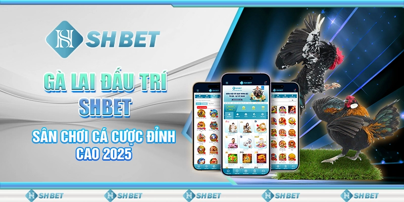 Gà Lai Đấu Trí SHBET - Sân Chơi Cá Cược Đỉnh Cao 2025