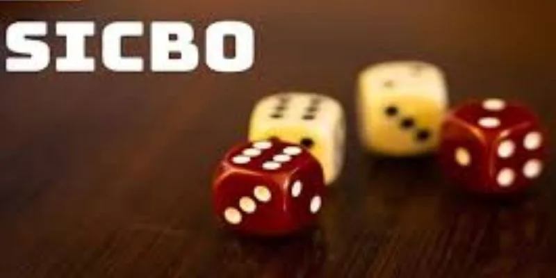 Các cửa cược trong sicbo phổ biến