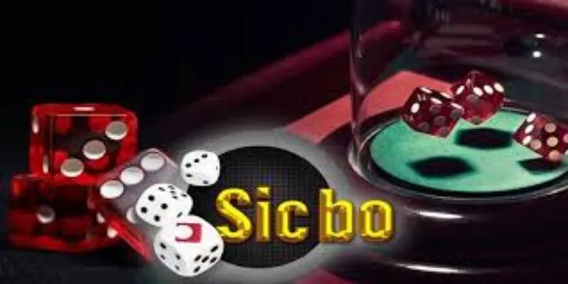 Chiến thuật chơi sicbo đỉnh cao
