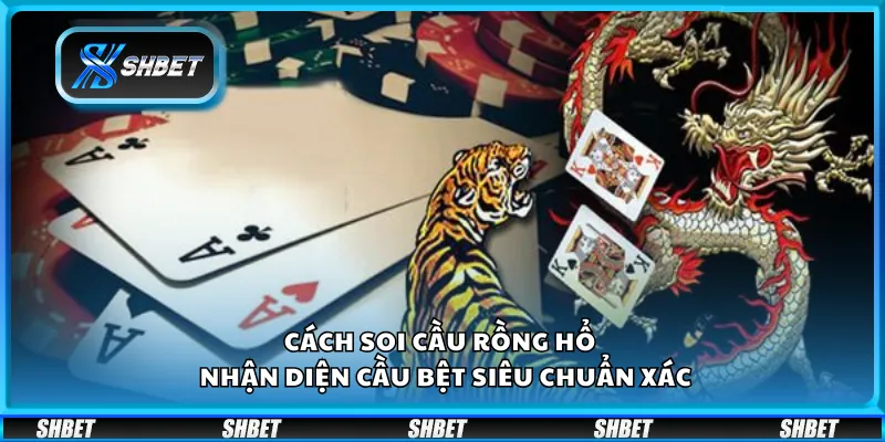 Cách soi cầu Rồng Hổ – Nhận diện cầu bệt siêu chuẩn xác