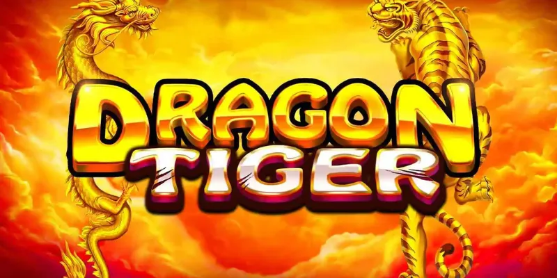 Nhìn tổng thể về trò chơi Rồng Hổ